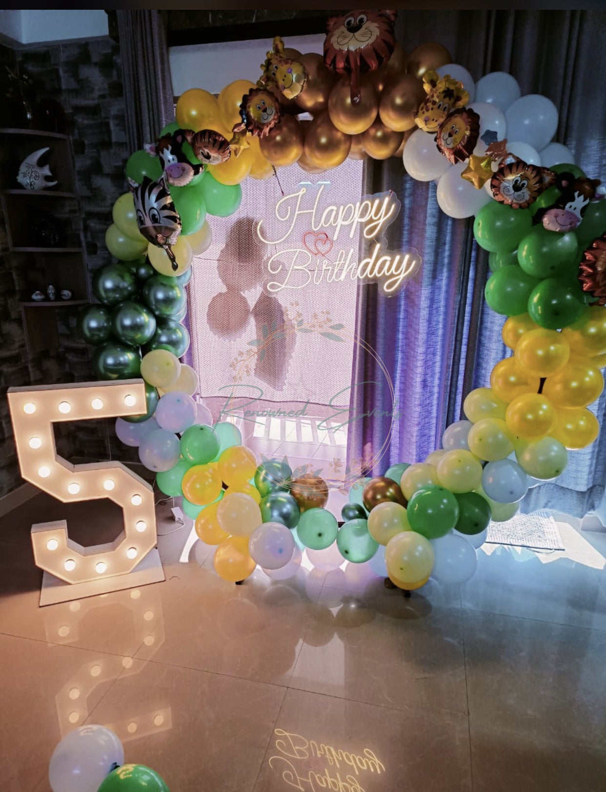 Birthday Boy Decoration with HAPPY BIRTHDAY LED, 1 AGE NUMBER LIGHT