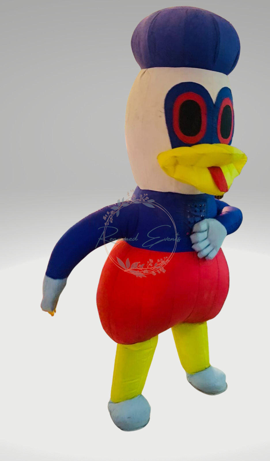 Donald duck live character for kids party