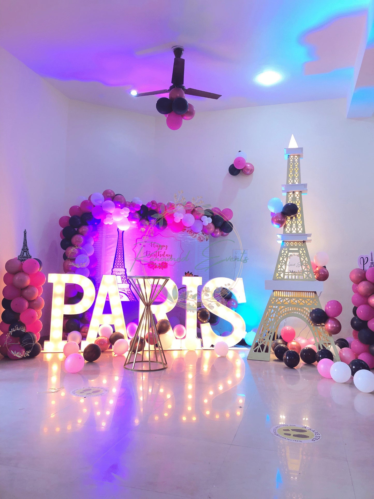 Paris Theme Decoration for her with Eiffel Tower