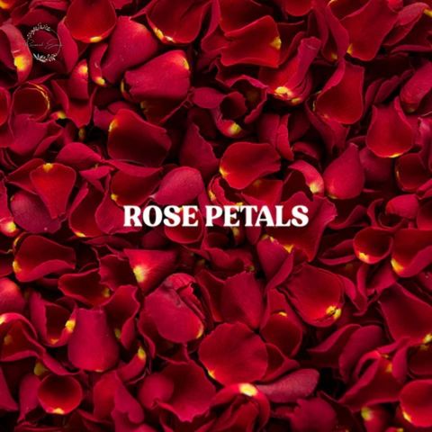 Rose Petals for Welcome Pathways, Bed Decoration & Romantic Setups