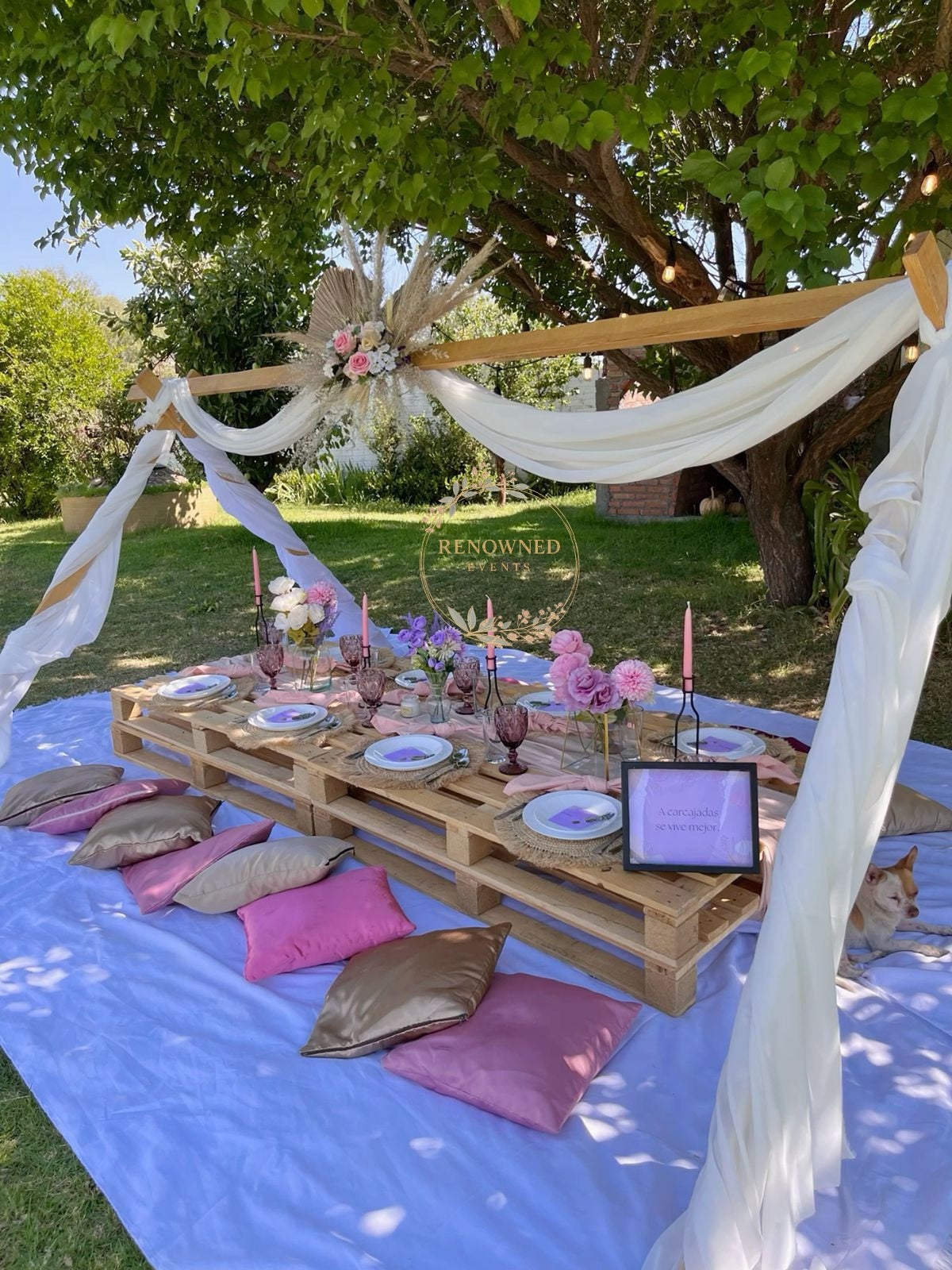 Picnic setup for get-together or party